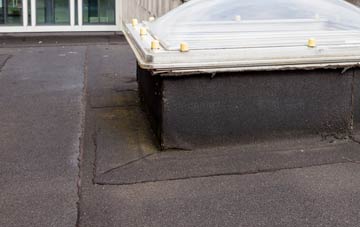 disadvantages of North Seaton flat roofs