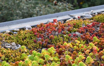 the cost of North Seaton green roof installation