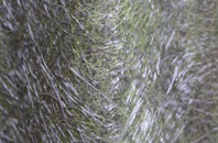 North Seaton fibreglass roof work